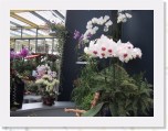 147-4779_IMG * Floriade * 1600 x 1200 * (645KB)